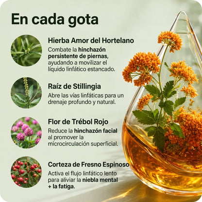 Drenaje Linfático Melvera — Gotas Naturales